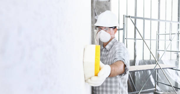 Best Environmental Consulting for Mold Prevention  in USA